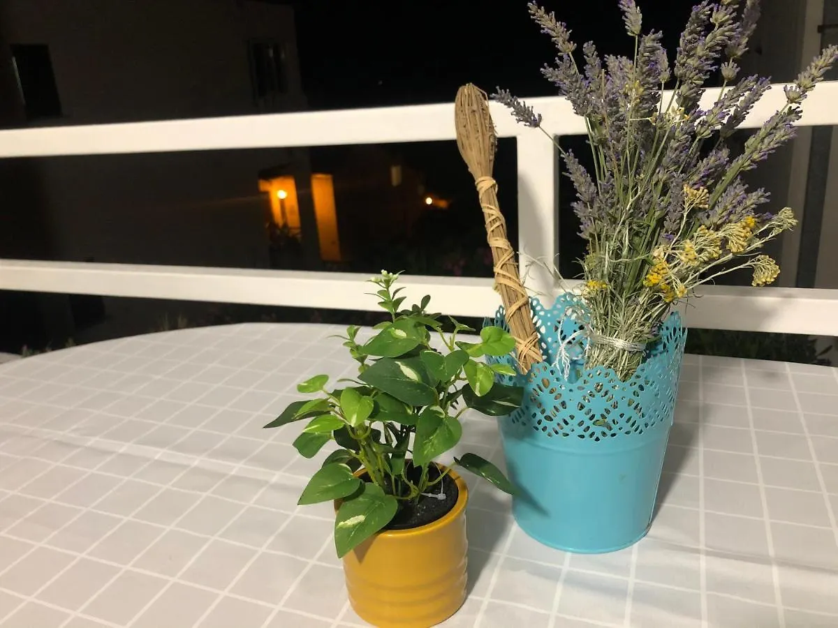 Apartment Susanj Ravni With Sea View